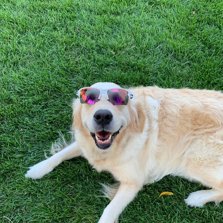 Profile Picture of Paul Wilpon (@paul_follow) on Tiktok