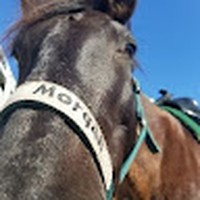 Profile Picture of Jody Haight (@jody-haight-3) on Quora