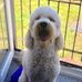 Profile Picture of Colin E MacIver (@colin.e.maciver) on Facebook