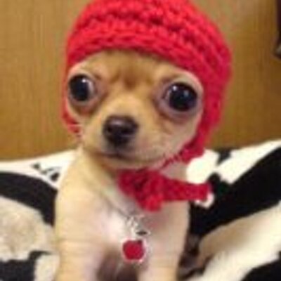 Profile Picture of Mitzi Jones (@mitzij13) on Twitter