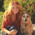Sandy McGee - Instagram Profile Picture of Sandy McGee (@thesunkissedgardener) on Instagram