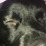 Profile Picture of Kris Stevenson (@kris.stevenson.1291) on Instagram