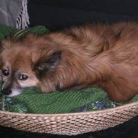 Profile Picture of Janet Tait (@janet-tait-7) on Quora