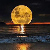 Profile Picture of Kiran Singh Kiran Singh Kiran Singh Kiran Singh (@KiranSinghKiranSinghKira-rp9re) on Youtube