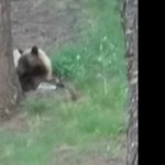 Profile Picture of Jeanette Jolly (@jollyjeanette) on Instagram