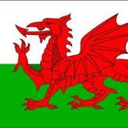 Profile Picture of James Mulcahy  🏴󠁧󠁢󠁷󠁬󠁳󠁿 (@athrocyfraith) on Twitter
