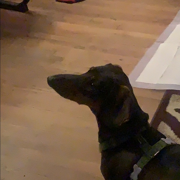 Profile Picture of Keith Poteat (@keithpoteat) on Poshmark