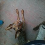 Profile Picture of Jessica (@jessica_gordillo_) on Instagram