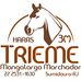 Profile Picture of Haras Trieme Andre (@Haras-Trieme-Andre) on Facebook