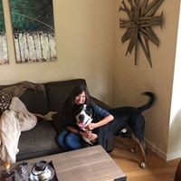 Profile Picture of Noel Nelson (@noel-nelson-12) on Quora