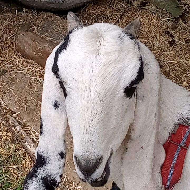 Profile Picture of JEFF (@jeffuf123) on Tiktok