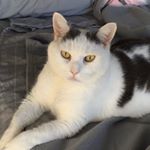 Profile Picture of Julia B (@biddleypoo) on Instagram