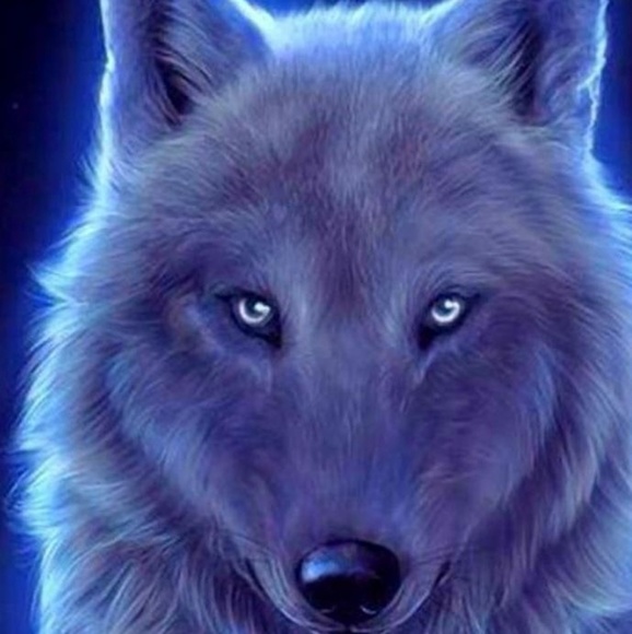 Profile Picture of Ericka Hesterlee (@hesterlees) on Poshmark