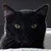 Profile Picture of Cole Reid (@colereid137758) on Pinterest