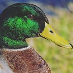 Profile Picture of Clayton Dean Sharp (@clayton_sharp19) on Instagram
