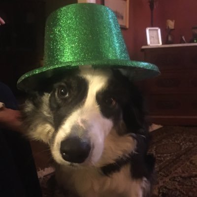 Profile Picture of Clark Pollitt (@Freethinkinglib) on Twitter
