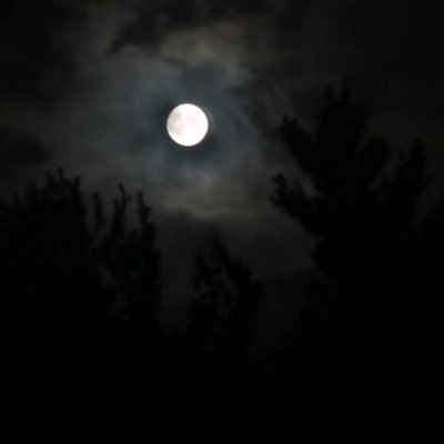 Profile Picture of Joe Concannon (@JoeConcannon8) on Twitter