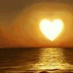 Profile Picture of Mohamad El Sankari (@sankari.mohamad) on Instagram