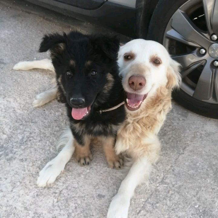 Profile Picture of Joseph_Rene (@joseph_rene) on Tiktok