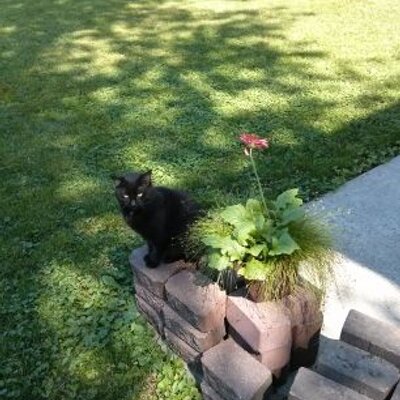 Profile Picture of Cindy Bertucci (@CindyBertucci) on Twitter