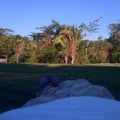 Profile Picture of Pablo Aliaga (@paliaga28) on Twitter