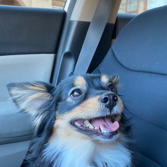 Profile Picture of Nikelynn Oshiro (@nikkkkkkk504) on Poshmark