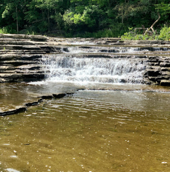 Profile Picture of Danielle Cieslak (@dcieslak22) on Poshmark