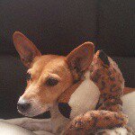 Profile Picture of sam snowdon (@sammysnozler) on Instagram