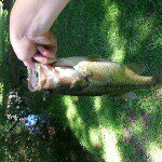 Profile Picture of evan/jack (@topfisherman65) on Instagram