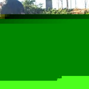 Jason Osgood - Myspace Profile Picture of Jason Osgood (@217719081) on Myspace