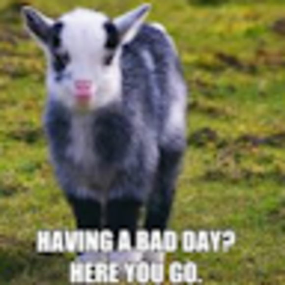 Profile Picture of Abbi Stallbaumer (@abbistall) on Poshmark