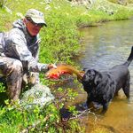 Profile Picture of Stuart C Andrews (@stuartelevatedangler) on Instagram