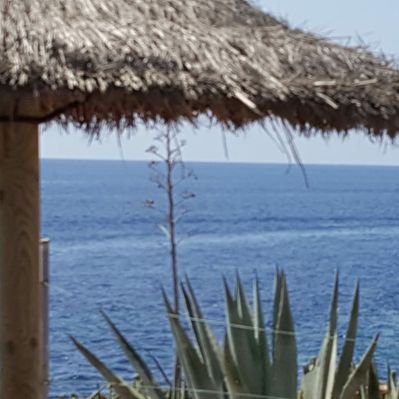 Profile Picture of Ian Spinks (@ianSpinks10) on Twitter