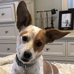 Profile Picture of Sadie Keller (@sadieladyk) on Instagram