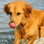 Profile Picture of Kevin Drexler (@kdrexler) on Youtube