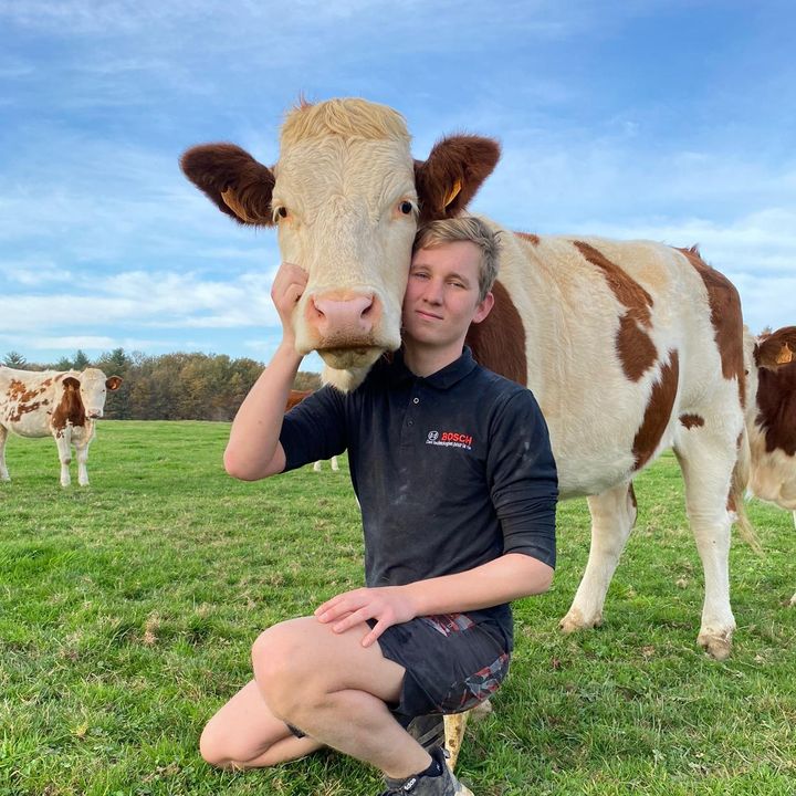 Profile Picture of Alexandre Morel (@alexandre_morel) on Tiktok