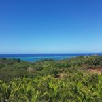 Profile Picture of Daniel  alfredo (@d_gonzales94) on Instagram