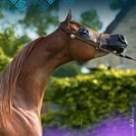 Profile Picture of Amjad hamdan (@amjad9984) on Instagram
