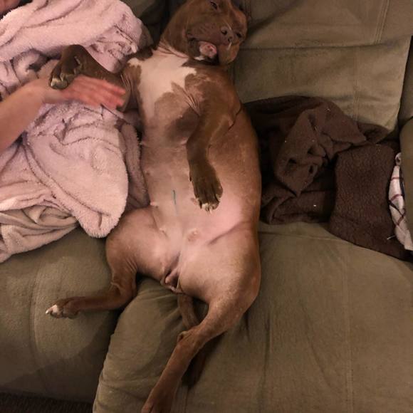 Profile Picture of Sandee Miller (@baker7760) on Poshmark