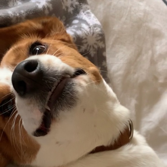 Profile Picture of Davis Parker (@davisjparker) on Poshmark