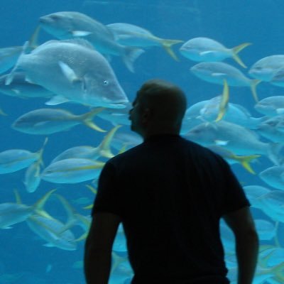 Profile Picture of Jay Geno (@JayGenovese) on Twitter