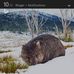 Profile Picture of Chuck Reiter (@chuck.reiter.731) on Facebook