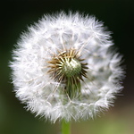 Rjebrey - Flickr Profile Picture of Rjebrey (@rjebrey) on Flickr