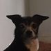 Profile Picture of Jimmy Walden (@jimmy.walden.14) on Facebook