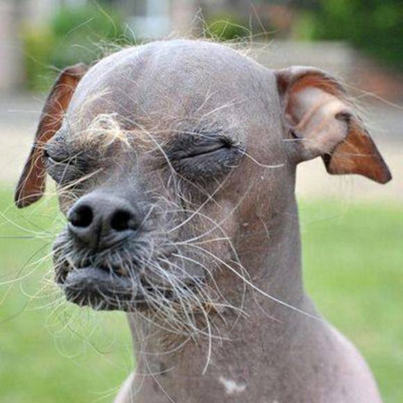 Profile Picture of Adam Reynoso (@adamreynoso10) on Poshmark