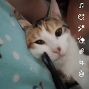 Profile Picture of Lily-Rose Hebert (@lily-rosehebert5420) on Youtube