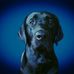 Profile Picture of Brian Krieger (@brian.krieger.338) on Facebook