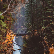 Profile Picture of Nancy Reeves (@nancyreeves3619) on Youtube