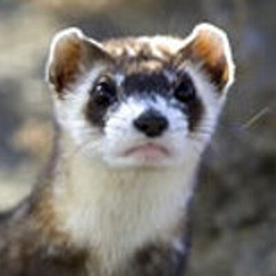 Profile Picture of Joseph Potter (@josephmpotter) on Twitter