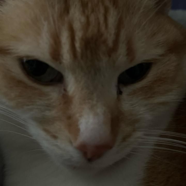 Profile Picture of JimmyAnderson (@ameliscni3o) on Tiktok